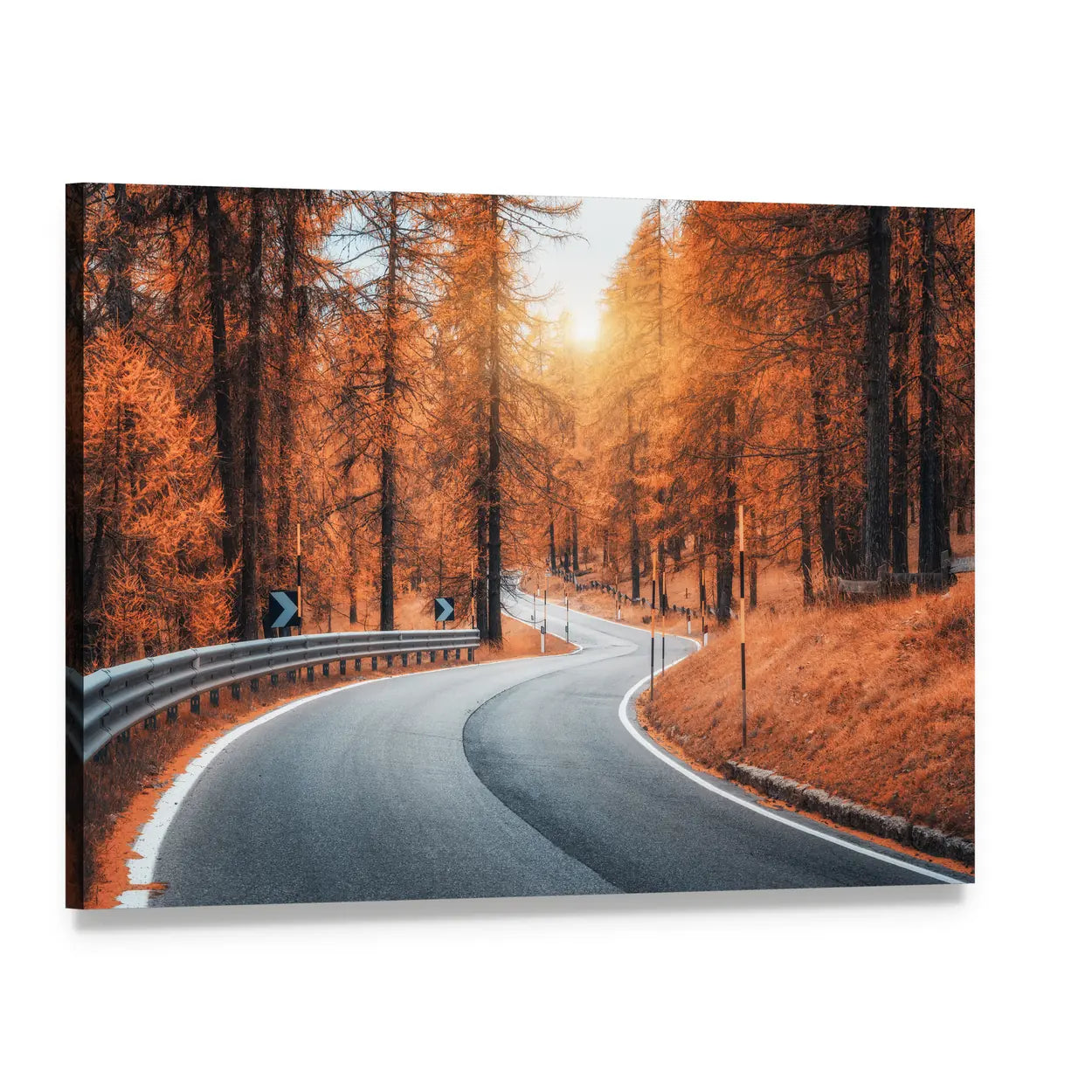 Sunlit Winding Road in Autumn Forest Canvas Wall Art, single panel gallery wrapped canvas, angled product view