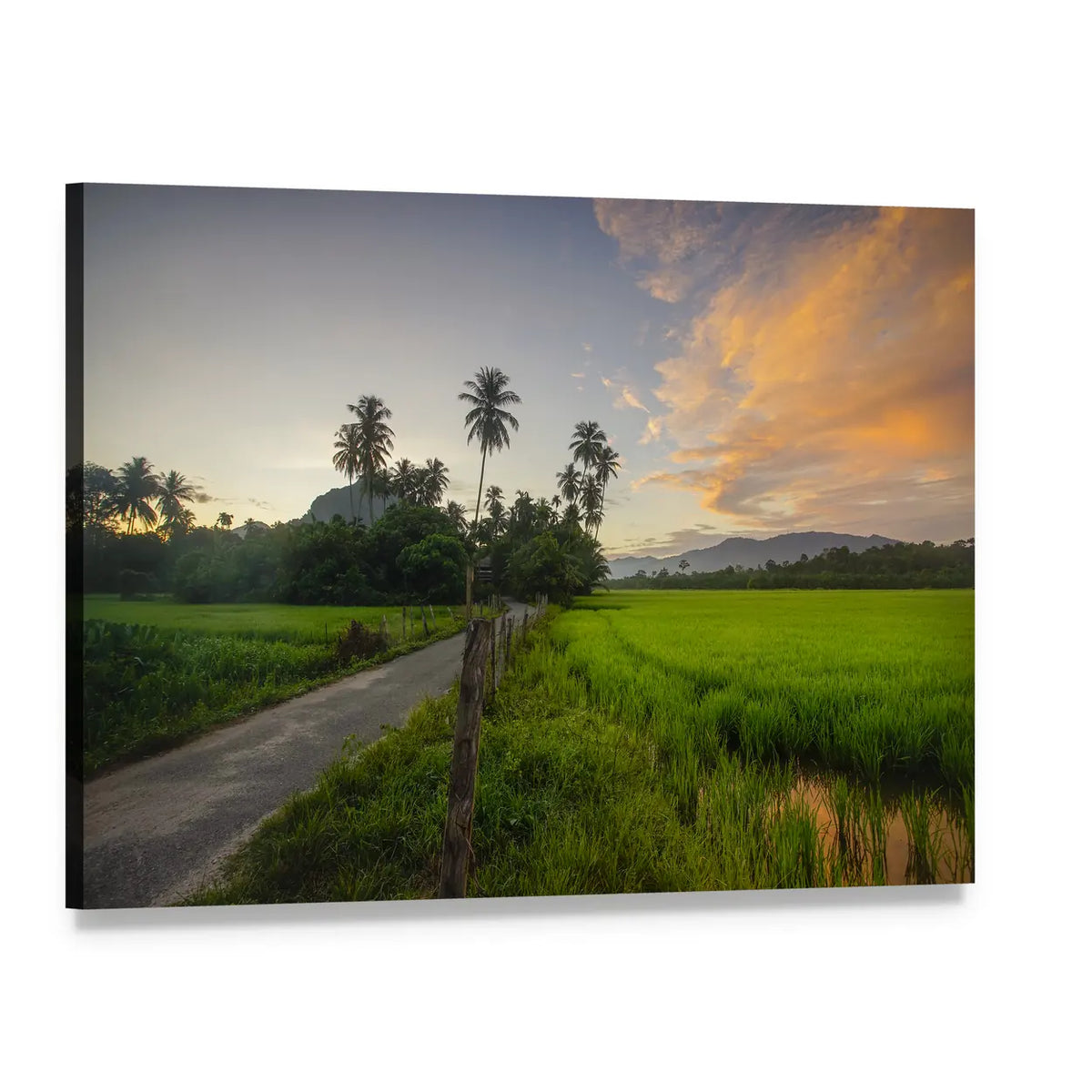 Village Paddy Fields at Sunrise Canvas Wall Art, single panel gallery wrapped canvas, angled product view