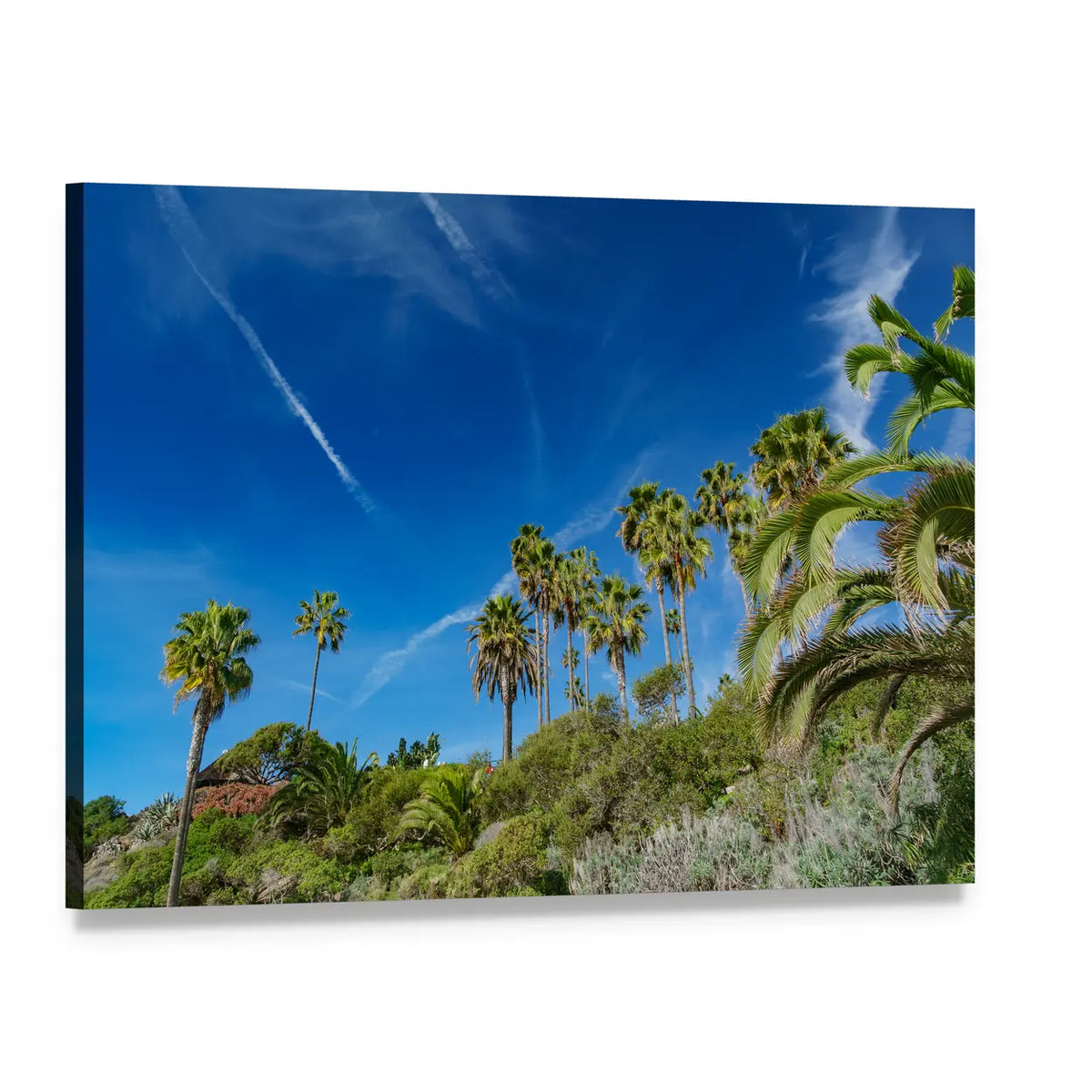 Sunny Coastal Palm Trees and Hills Canvas Wall Art, single panel gallery wrapped canvas, angled product view
