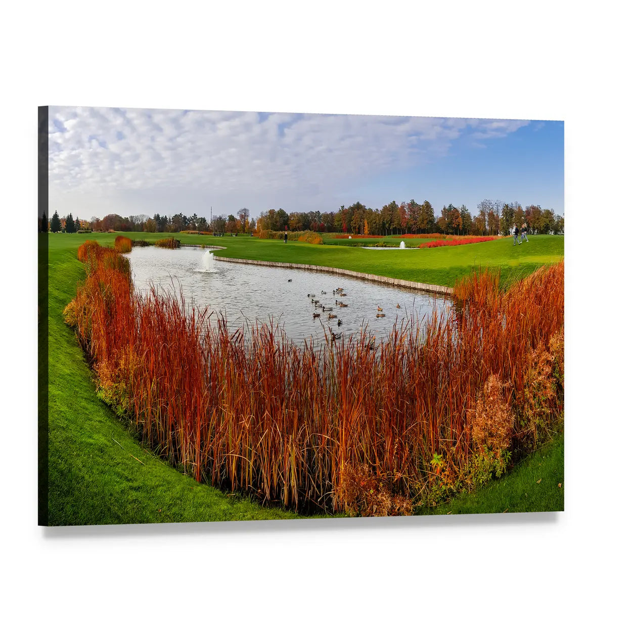 Autumn Pond with Orange Reeds Canvas Wall Art, single panel gallery wrapped canvas, angled product view