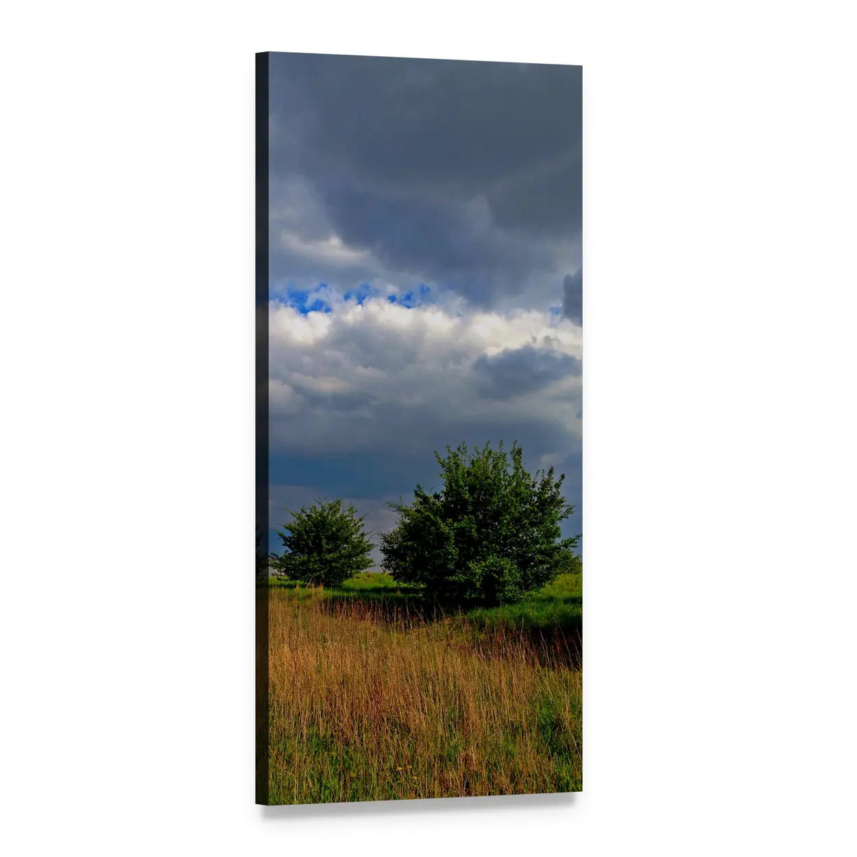 Spring Field with Stormy Sky Vertical Canvas Wall Art, 1 panel 1 Vertical layout gallery wrapped canvas set, angled product view