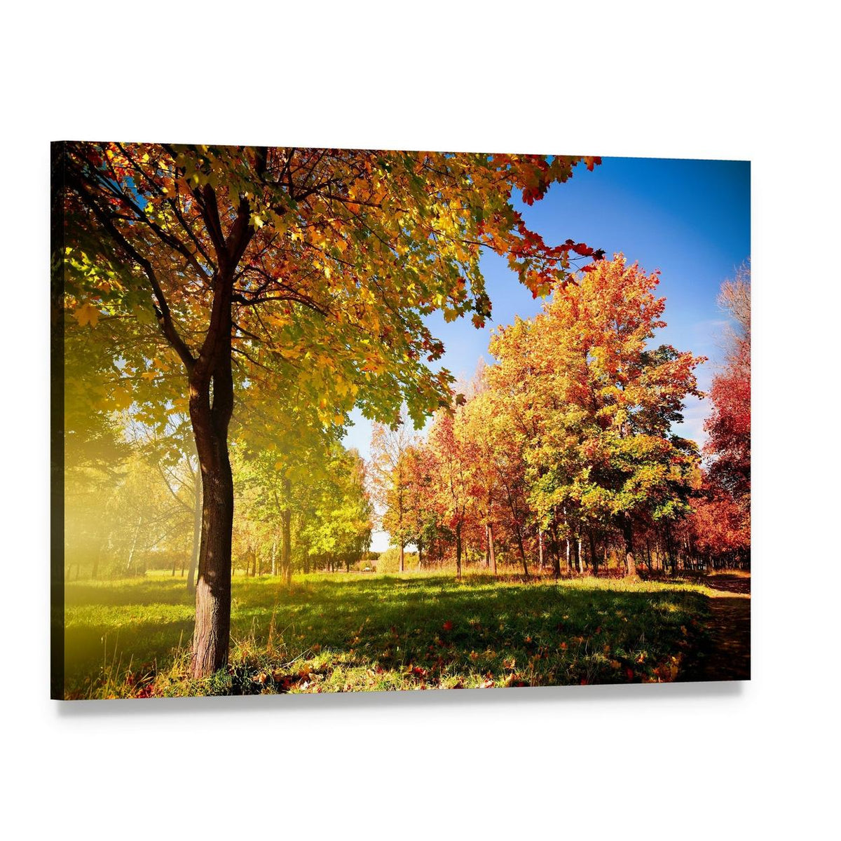 Park View in Autumn Canvas Wall Art, single panel gallery wrapped canvas, angled product view