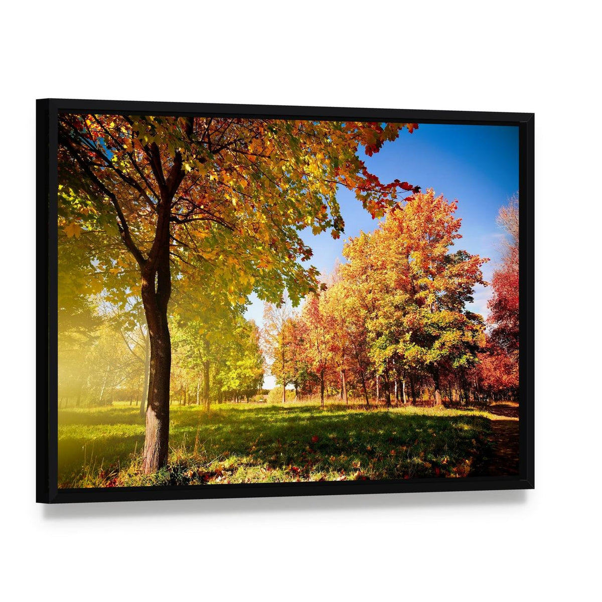Park View in Autumn Canvas Wall Art, framed canvas in a black floater frame, angled product view
