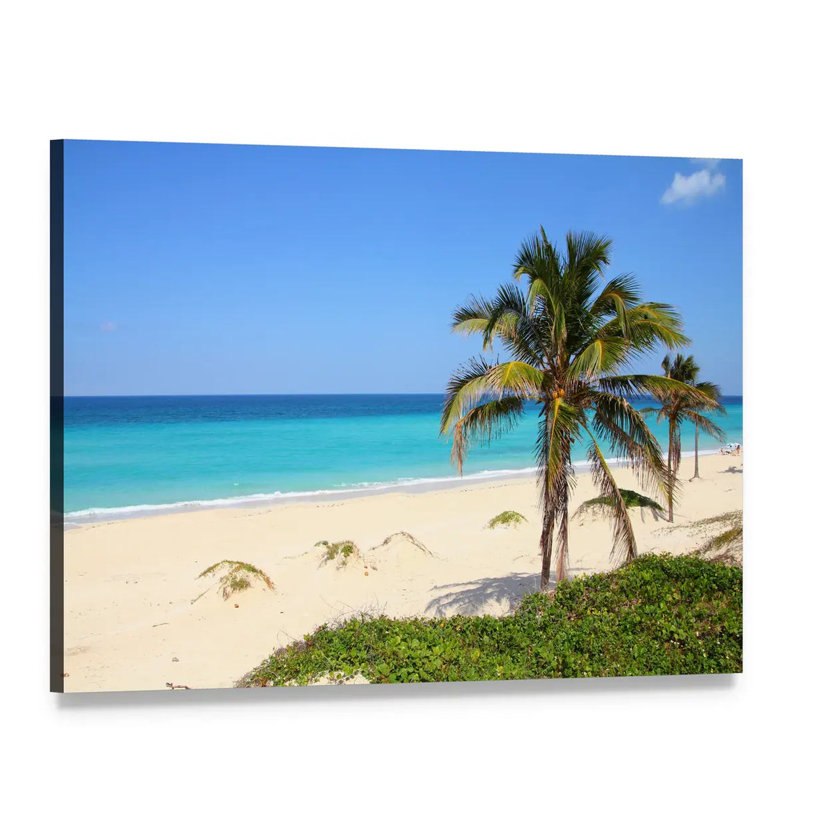 Caribbean Beach with Two Palm Trees Canvas Wall Art, single panel gallery wrapped canvas, angled product view