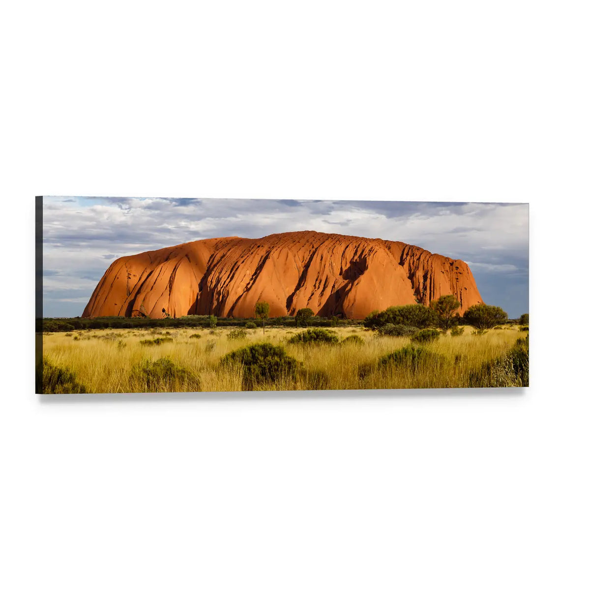Red Sandstone Monolith Over Golden Grassland Panoramic Canvas Wall Art, single panel gallery wrapped canvas, angled product view