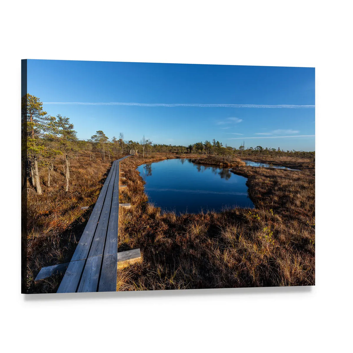 Kemeri National Park Boardwalk Canvas Wall Art, single panel gallery wrapped canvas, angled product view