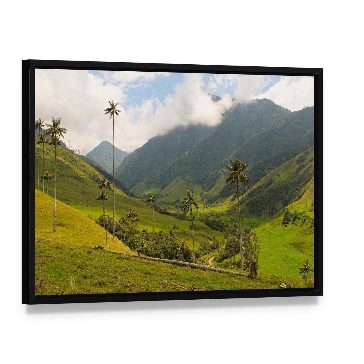 Wax Palm Trees of Cocora Valley Canvas Wall Art, framed canvas in a black floater frame, angled product view