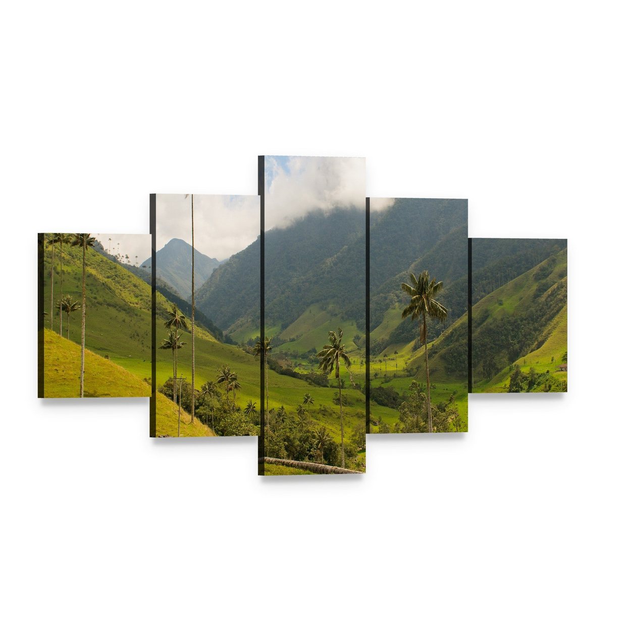 Wax Palm Trees of Cocora Valley Canvas Wall Art, 5 panel 5 Star layout gallery wrapped canvas set, angled product view