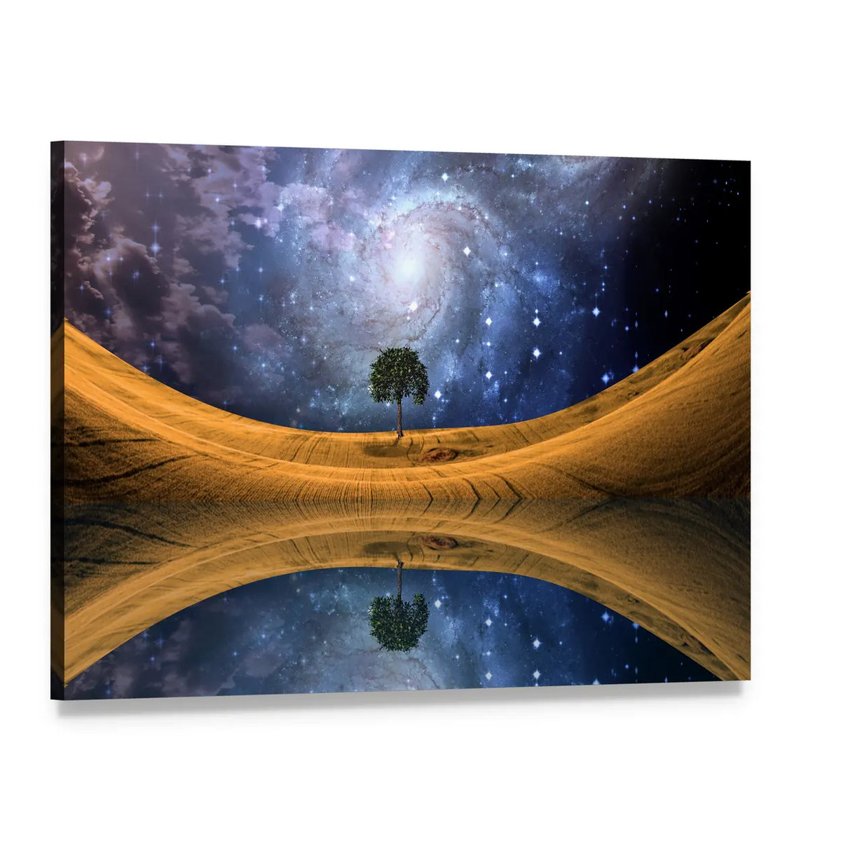 Lone Tree Reflected on Surreal Lake Canvas Wall Art, single panel gallery wrapped canvas, angled product view