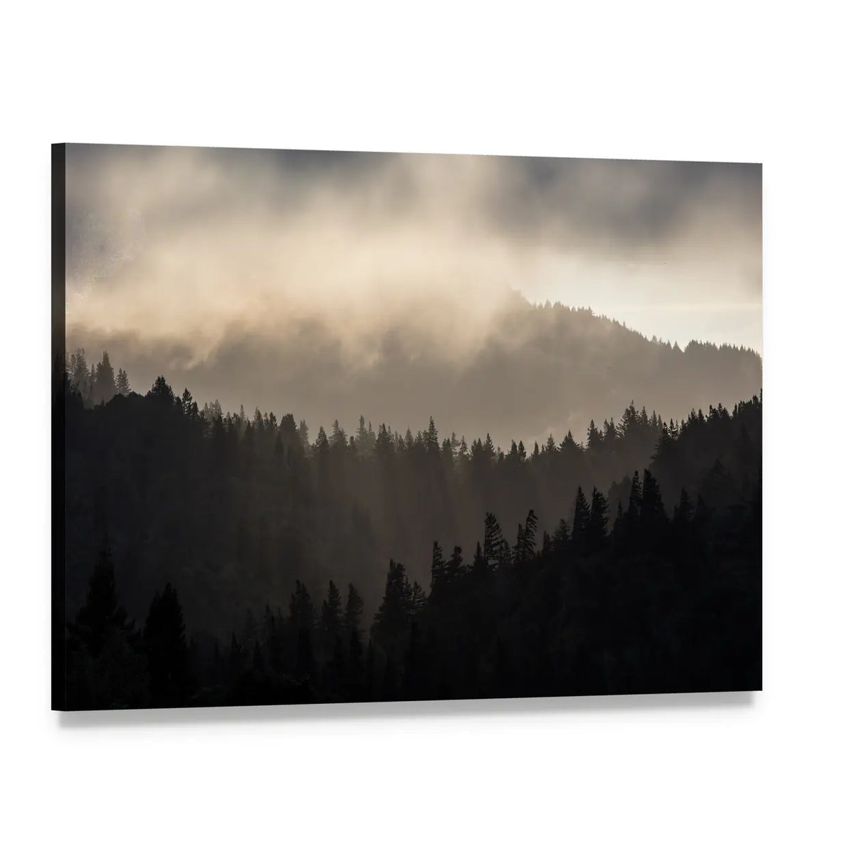 Endless Misty Pine Forest Canvas Wall Art, single panel gallery wrapped canvas, angled product view