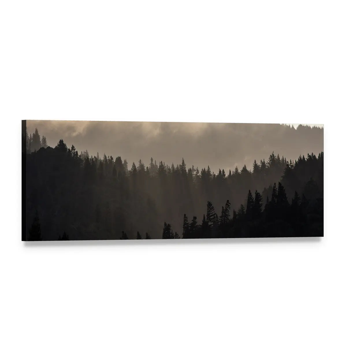 Endless Misty Pine Forest Panoramic Canvas Wall Art, single panel gallery wrapped canvas, angled product view