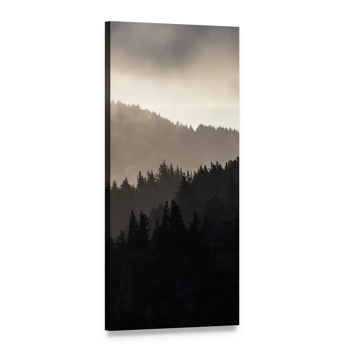 Endless Misty Pine Forest Vertical Canvas Wall Art, 1 panel 1 Vertical layout gallery wrapped canvas set, angled product view