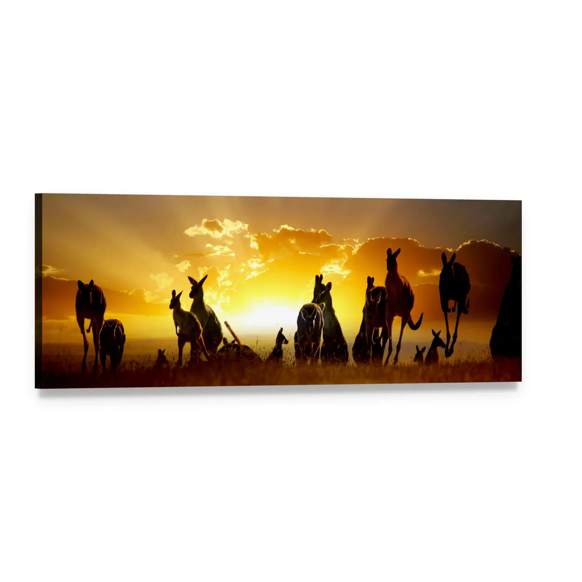 Kangaroo Silhouettes at Sunset Panoramic Canvas Wall Art, single panel gallery wrapped canvas, angled product view