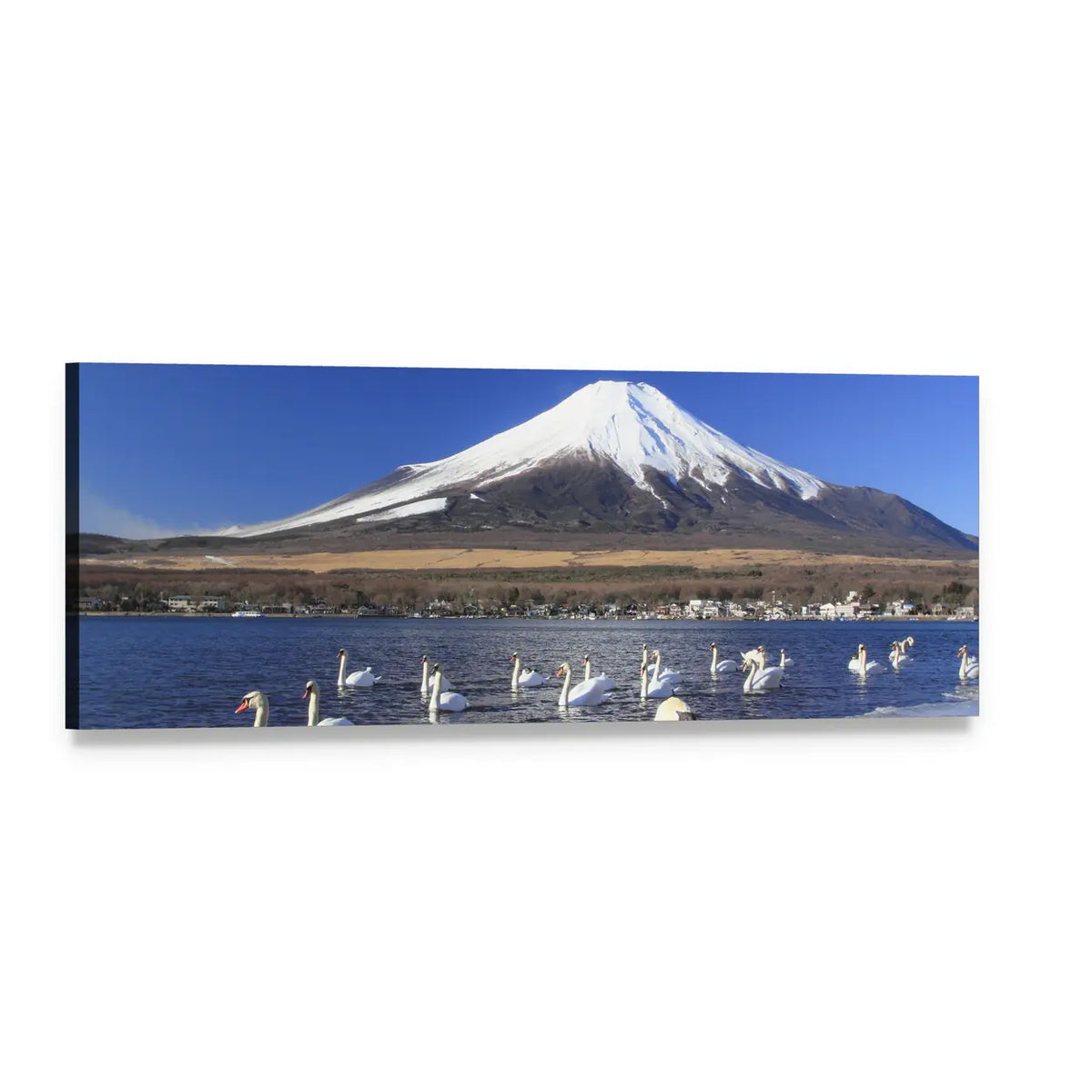 Swans in Front of Mount Fuji Panoramic Canvas Wall Art, single panel gallery wrapped canvas, angled product view