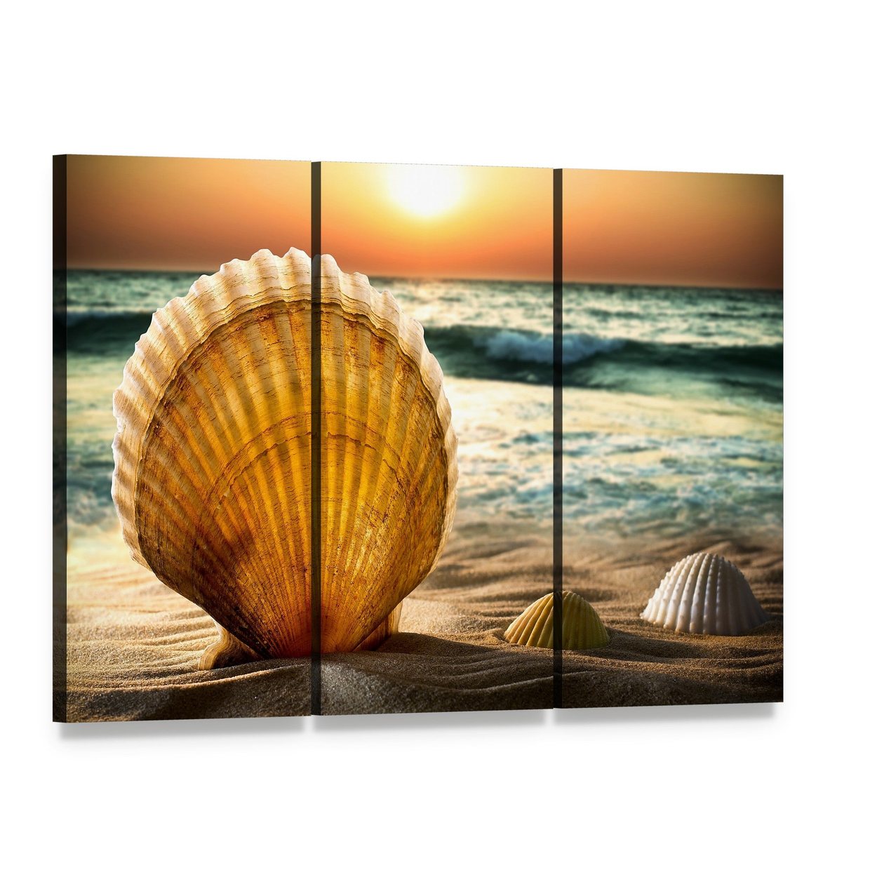 Scallop Shell on Golden Sunset Sand Canvas Wall Art, 3 panel 3 Horizontal layout gallery wrapped canvas set, angled product view