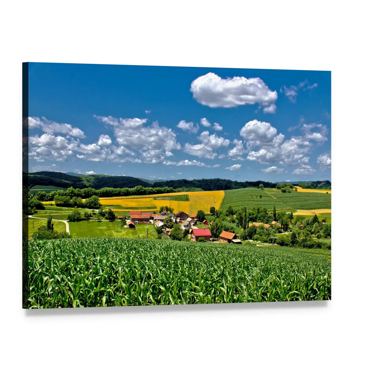 Green Village in Croatia Canvas Wall Art, single panel gallery wrapped canvas, angled product view