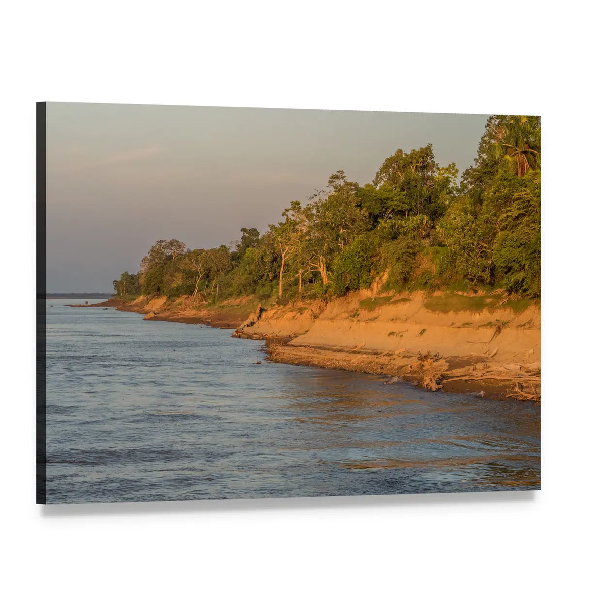 Bank of the Amazon River Canvas Wall Art, single panel gallery wrapped canvas, angled product view