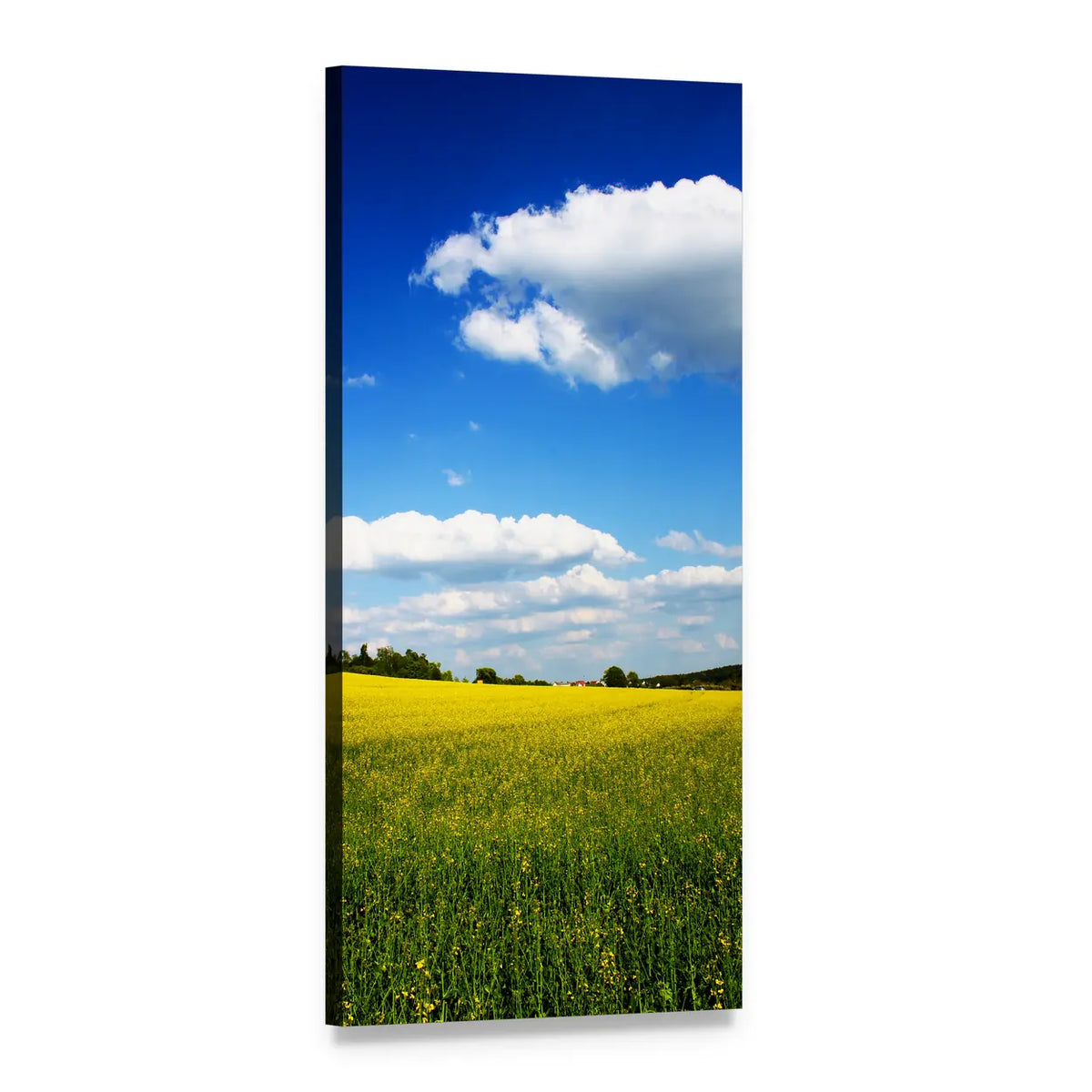 Spring Yellow Oilseed Fields Vertical Canvas Wall Art, 1 panel 1 Vertical layout gallery wrapped canvas set, angled product view