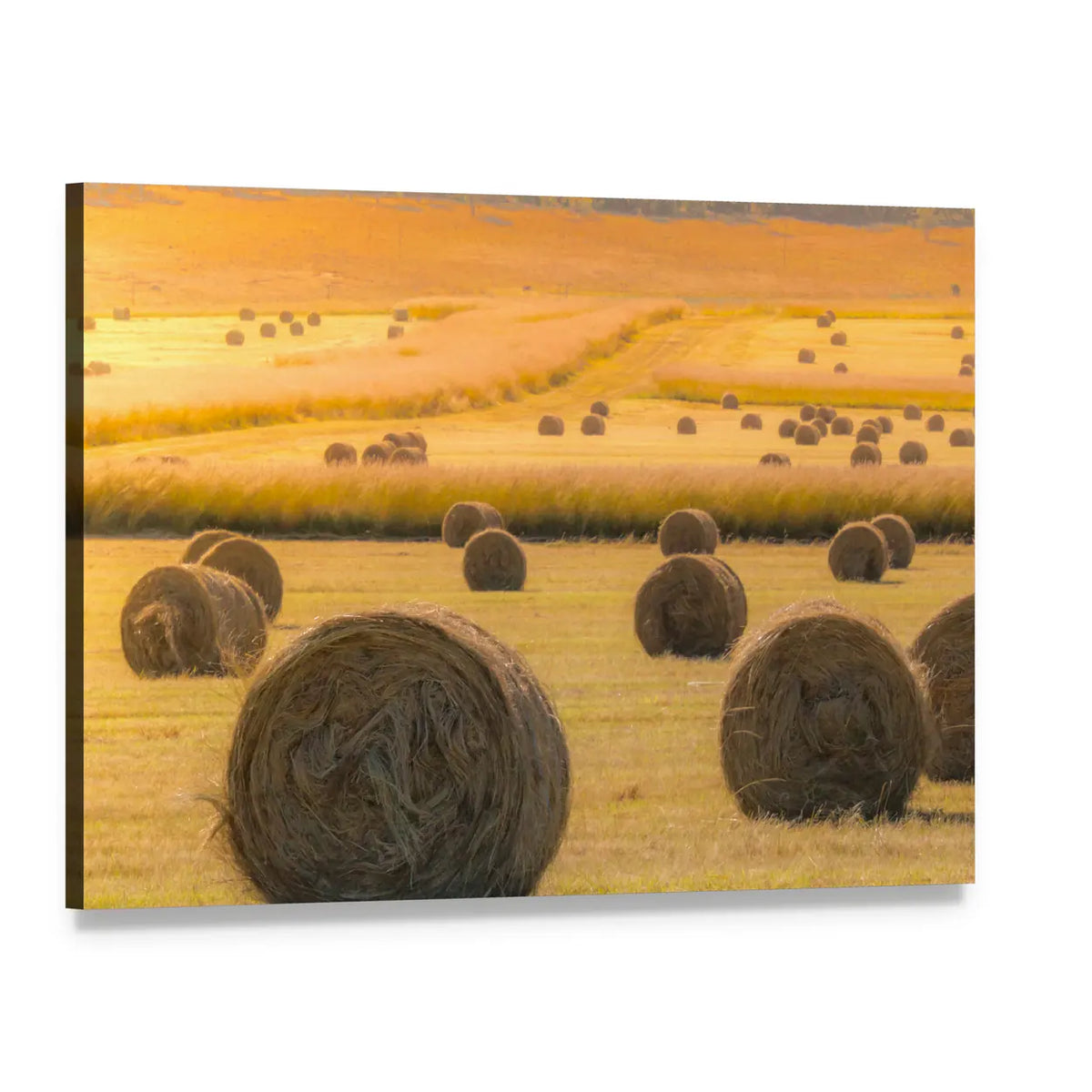 Hay Bales On Golden Field At Sunset Canvas Wall Art, single panel gallery wrapped canvas, angled product view