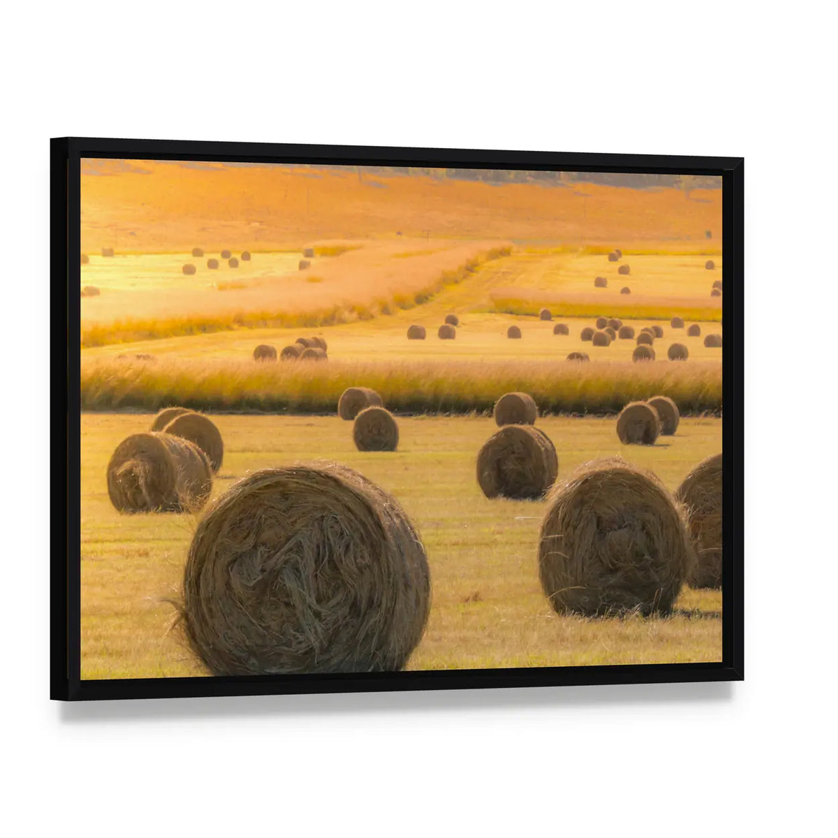 Hay Bales On Golden Field At Sunset Canvas Wall Art, framed canvas in a black floater frame, angled product view