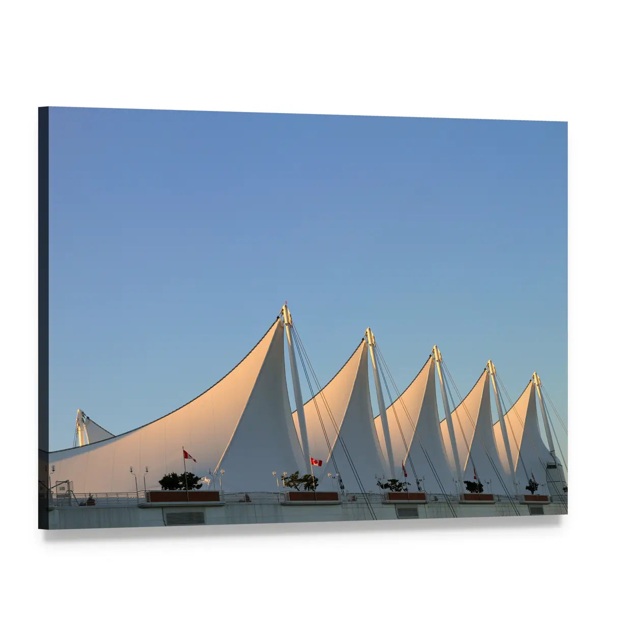 White Sails in Vancouver Canvas Wall Art, single panel gallery wrapped canvas, angled product view