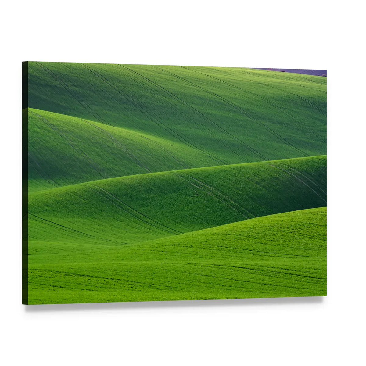 Rolling Green Hills in South Moravia Canvas Wall Art, single panel gallery wrapped canvas, angled product view