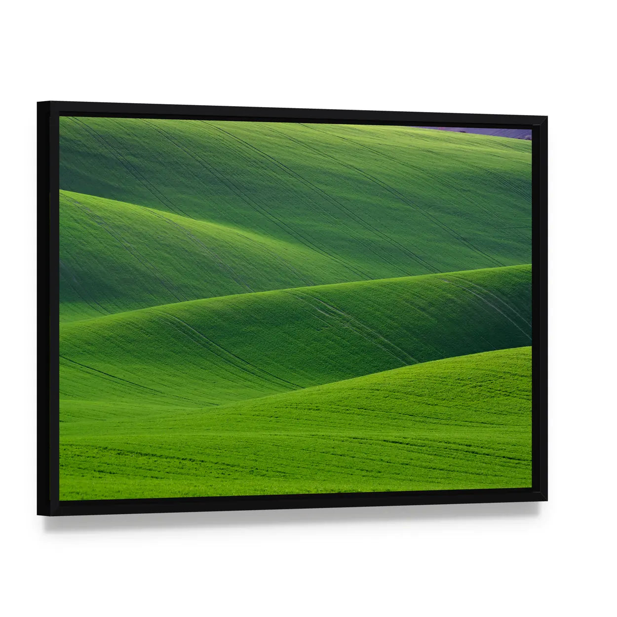 Rolling Green Hills in South Moravia Canvas Wall Art, framed canvas in a black floater frame, angled product view