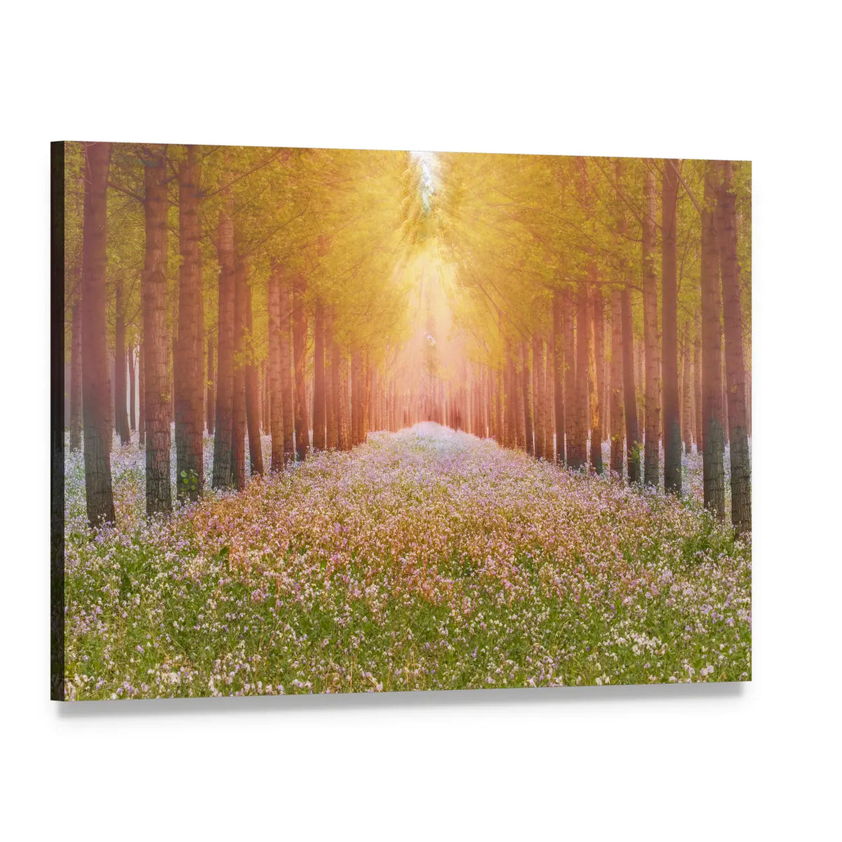 Sunlit Forest Path with Wildflowers Canvas Wall Art, single panel gallery wrapped canvas, angled product view