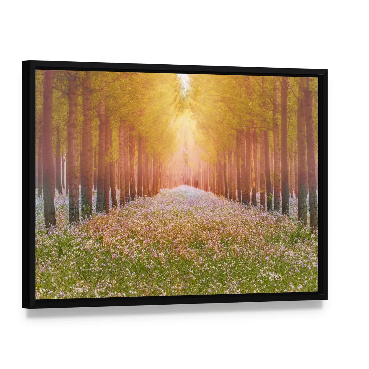Sunlit Forest Path with Wildflowers Canvas Wall Art, framed canvas in a black floater frame, angled product view