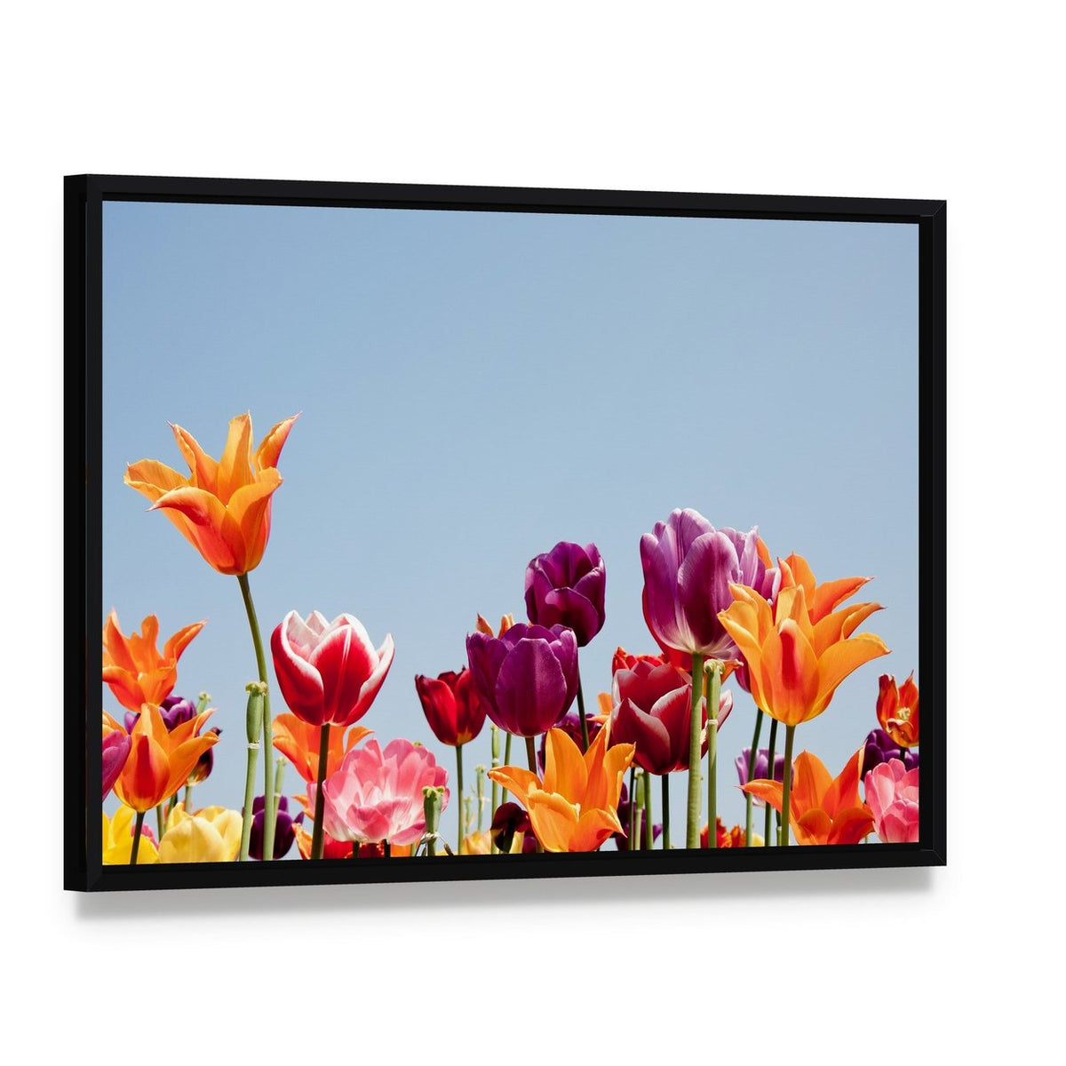 Multicolor Tulips Canvas Wall Art, framed canvas in a black floater frame, angled product view