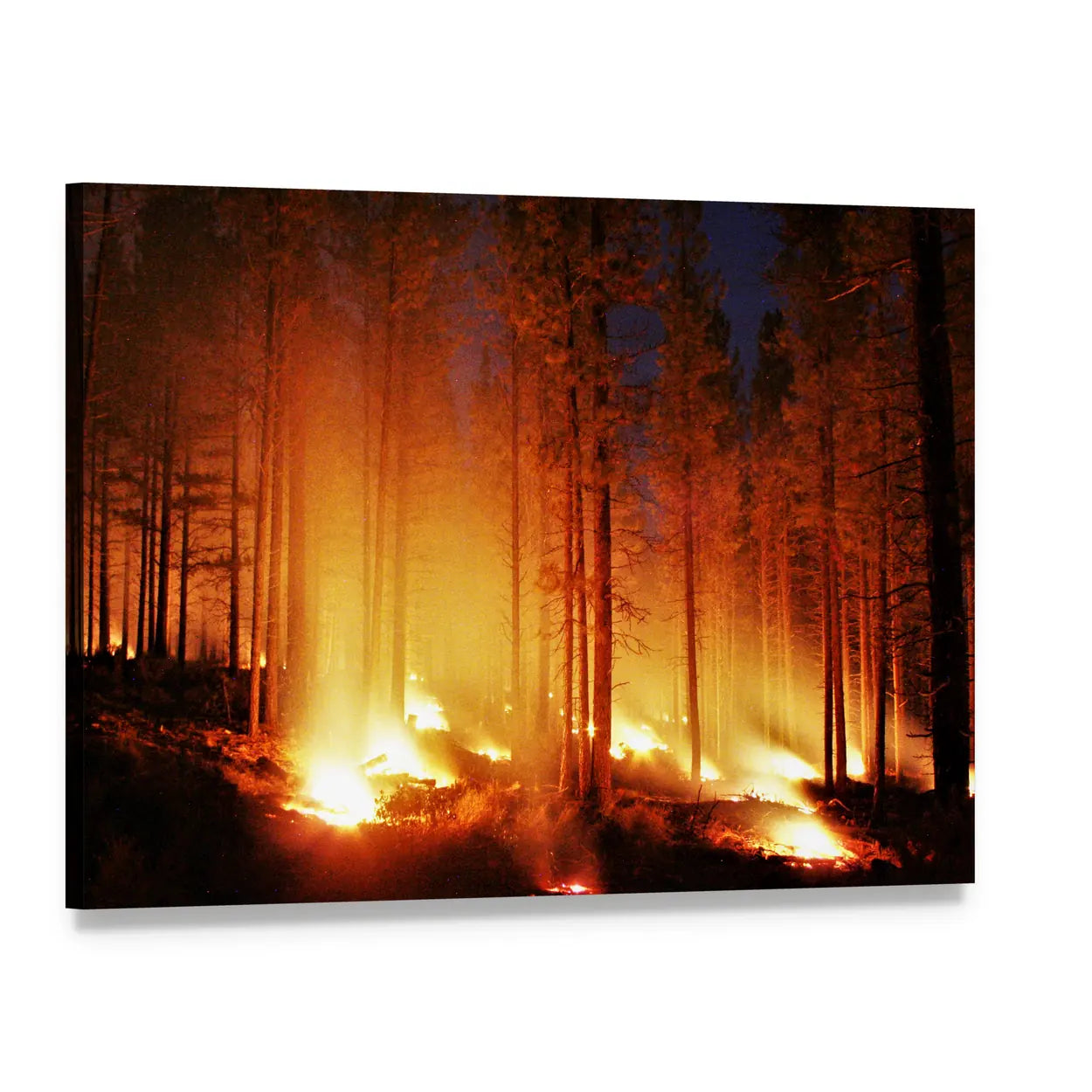 Glowing Forest Fire At Night Canvas Wall Art, single panel gallery wrapped canvas, angled product view