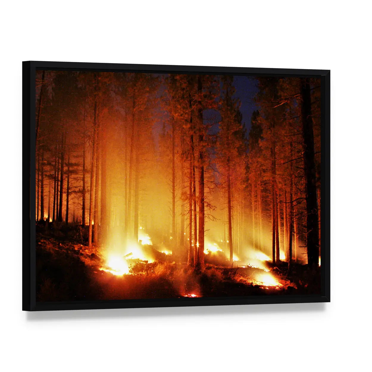 Glowing Forest Fire At Night Canvas Wall Art, framed canvas in a black floater frame, angled product view