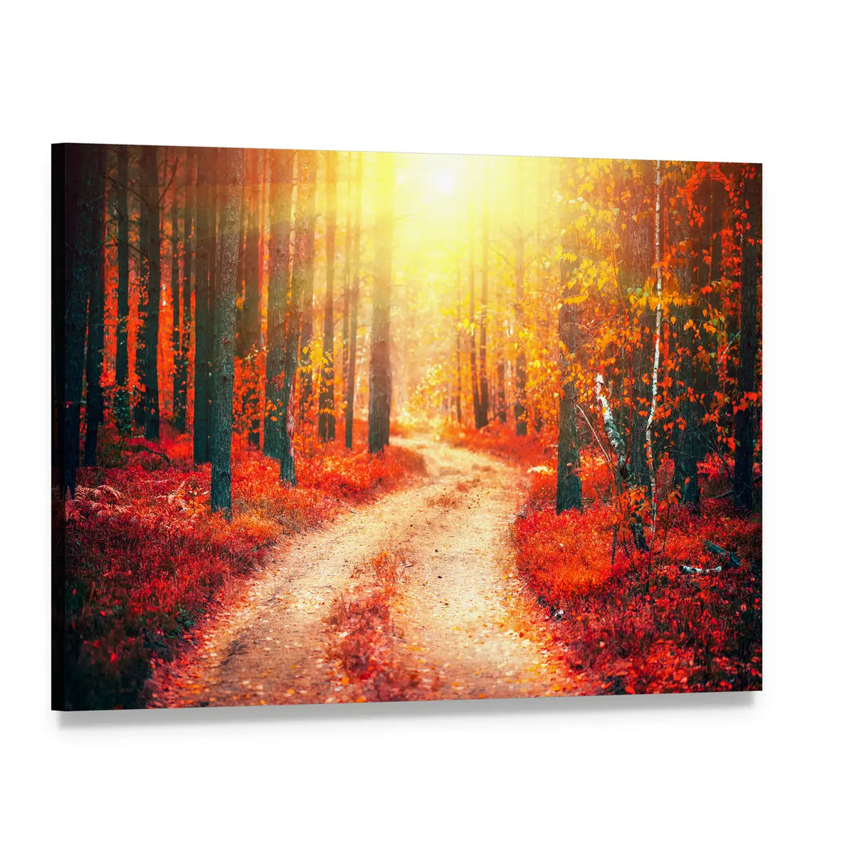 Autumnal Park With Pathway Canvas Wall Art, single panel gallery wrapped canvas, angled product view