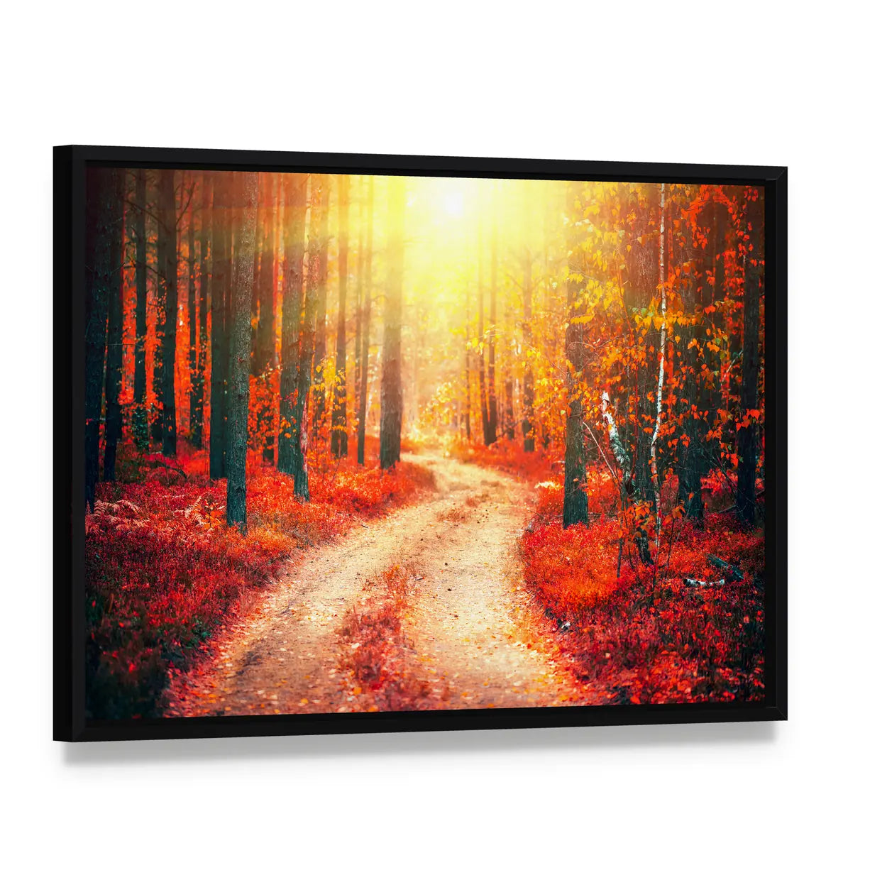 Autumnal Park With Pathway Canvas Wall Art, framed canvas in a black floater frame, angled product view