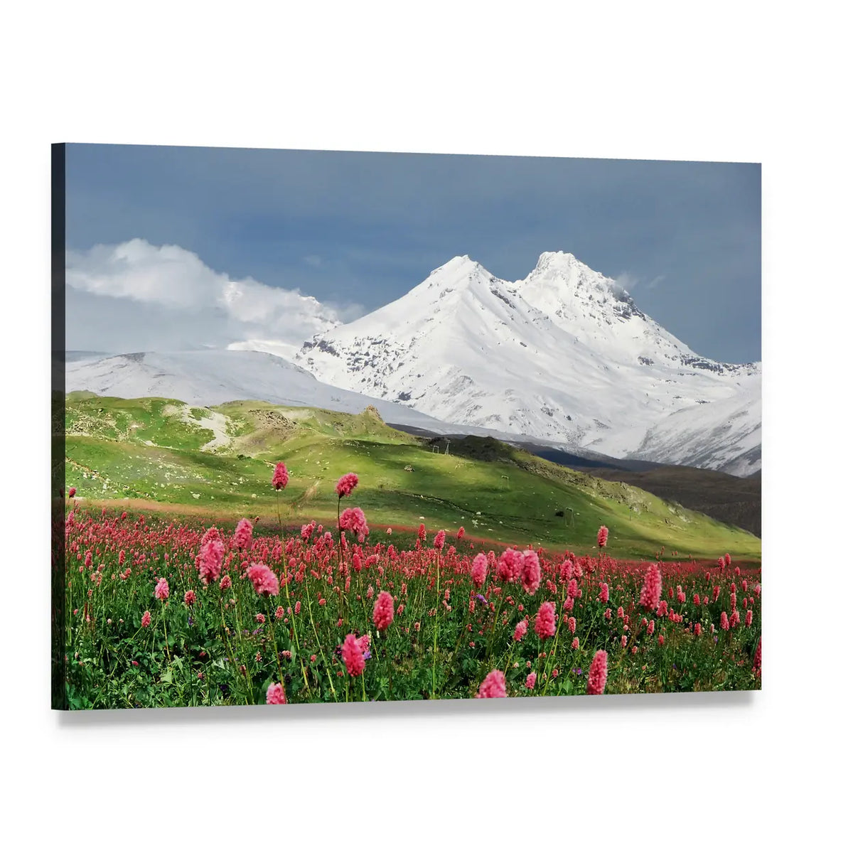 Blooming Flowers in Alpine Meadow Canvas Wall Art, single panel gallery wrapped canvas, angled product view