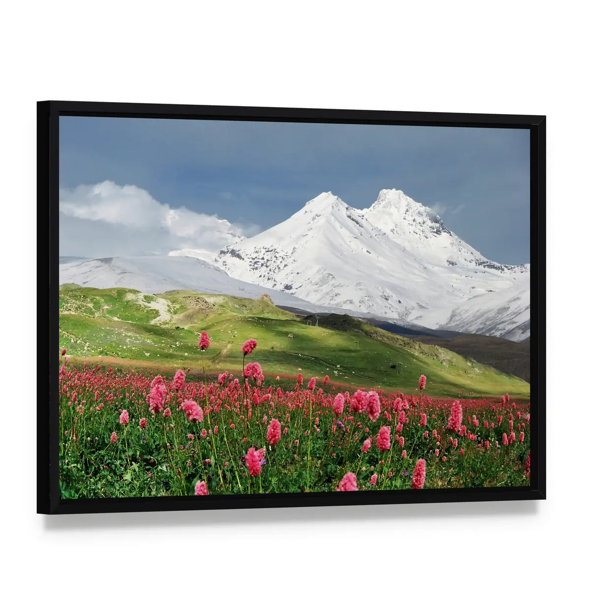 Blooming Flowers in Alpine Meadow Canvas Wall Art, framed canvas in a black floater frame, angled product view
