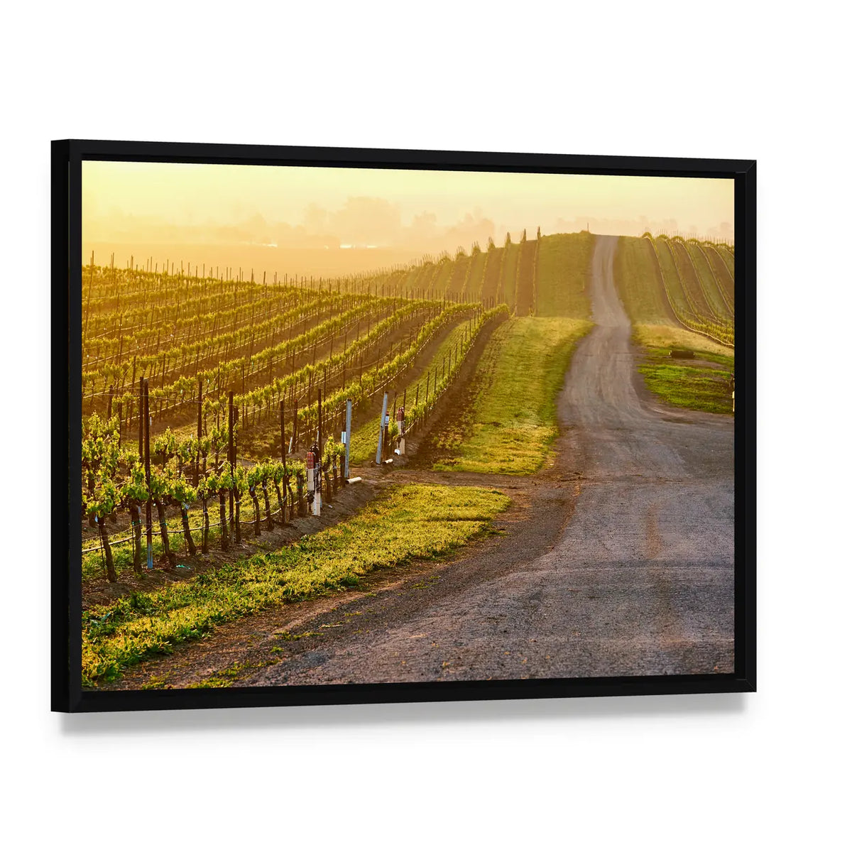 Sunrise Over Vineyard Rows Canvas Wall Art, framed canvas in a black floater frame, angled product view