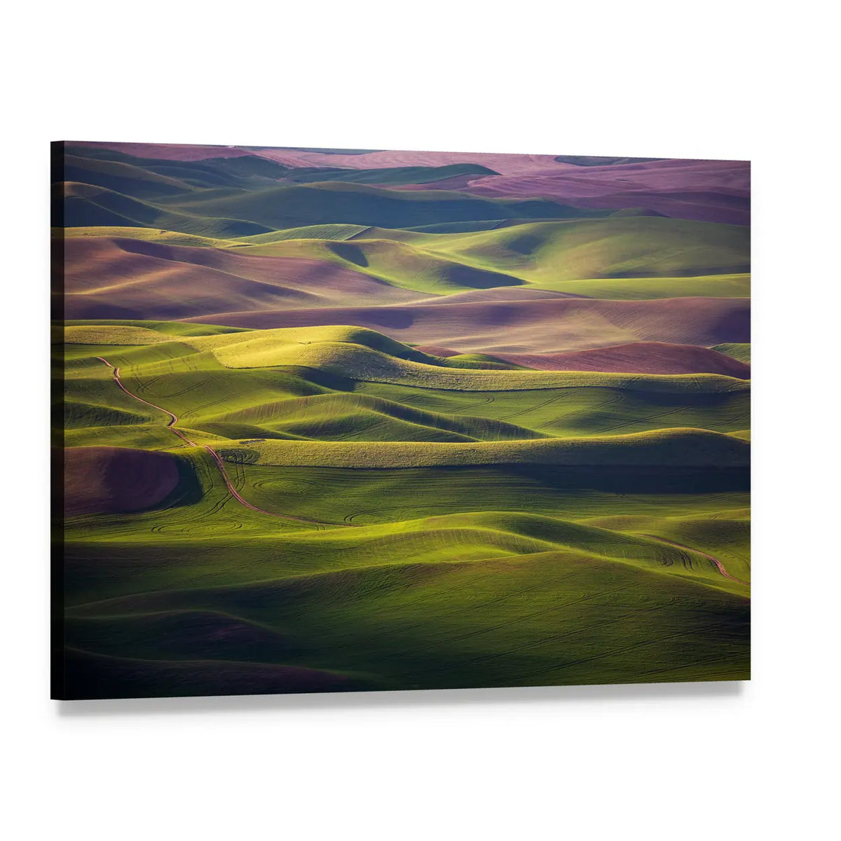 Palouse Rolling Hills at Golden Hour Canvas Wall Art, single panel gallery wrapped canvas, angled product view