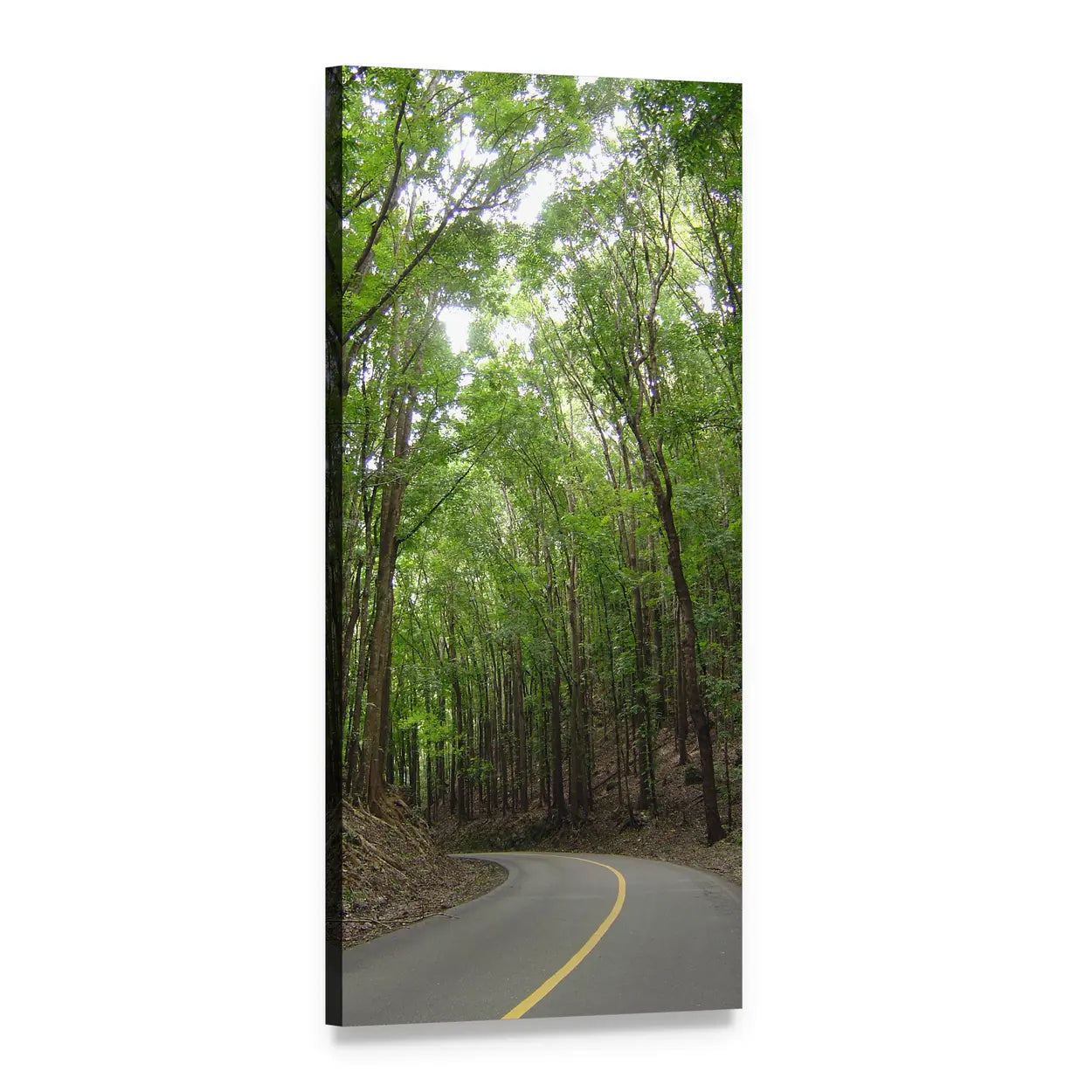 Philippine Forest Highway Vertical Canvas Wall Art, 1 panel 1 Vertical layout gallery wrapped canvas set, angled product view