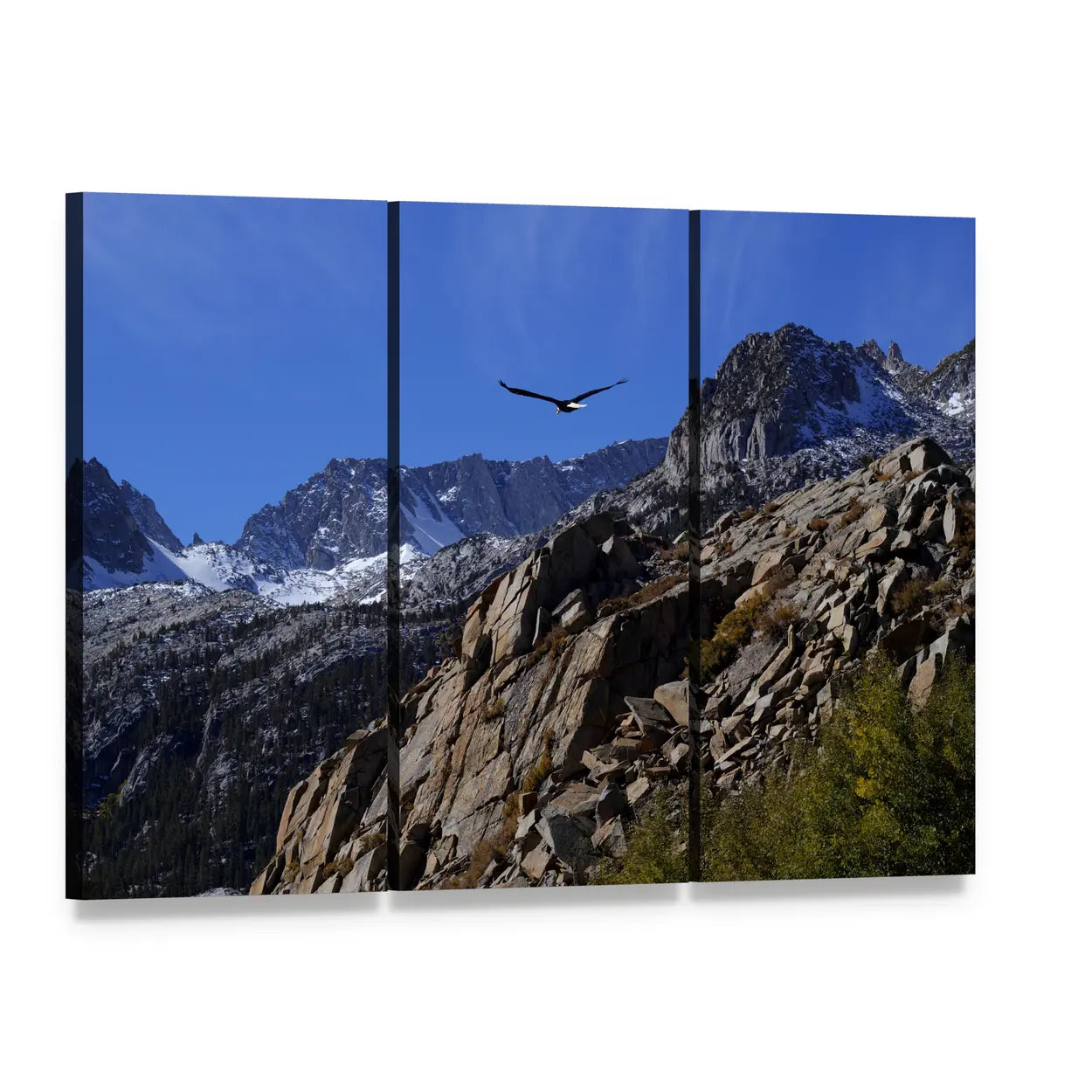 Bald Eagle Soaring Over Rocky Peaks Canvas Wall Art, 3 panel 3 Horizontal layout gallery wrapped canvas set, angled product view