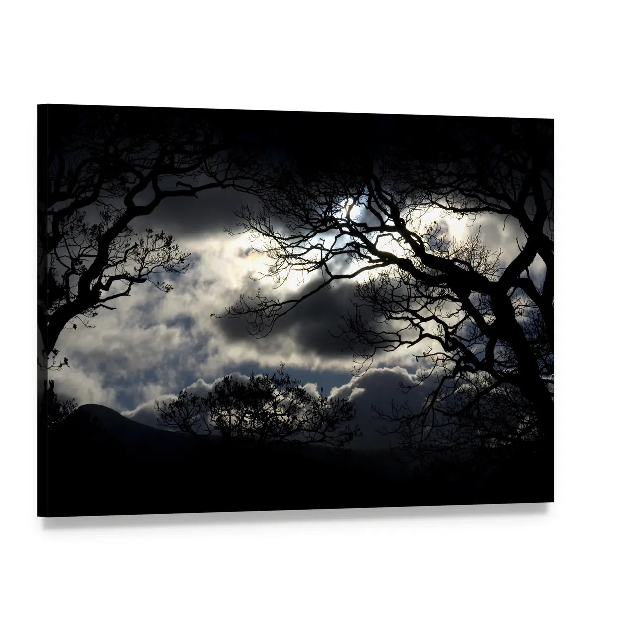 Silhouetted Trees Under Storm Clouds Canvas Wall Art, single panel gallery wrapped canvas, angled product view