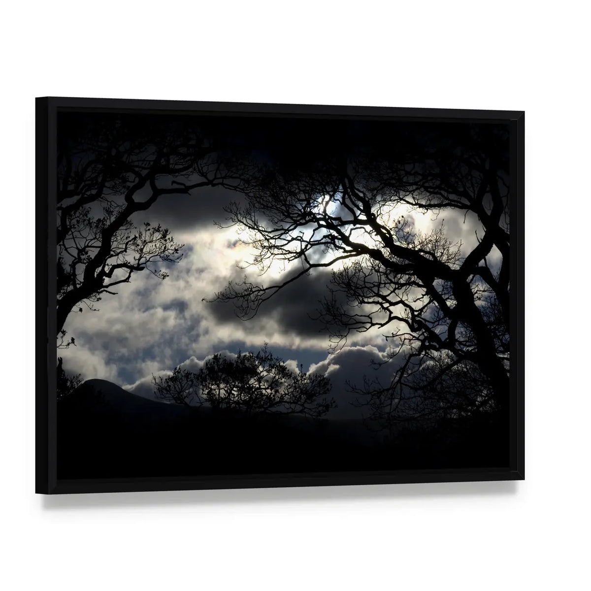 Silhouetted Trees Under Storm Clouds Canvas Wall Art, framed canvas in a black floater frame, angled product view
