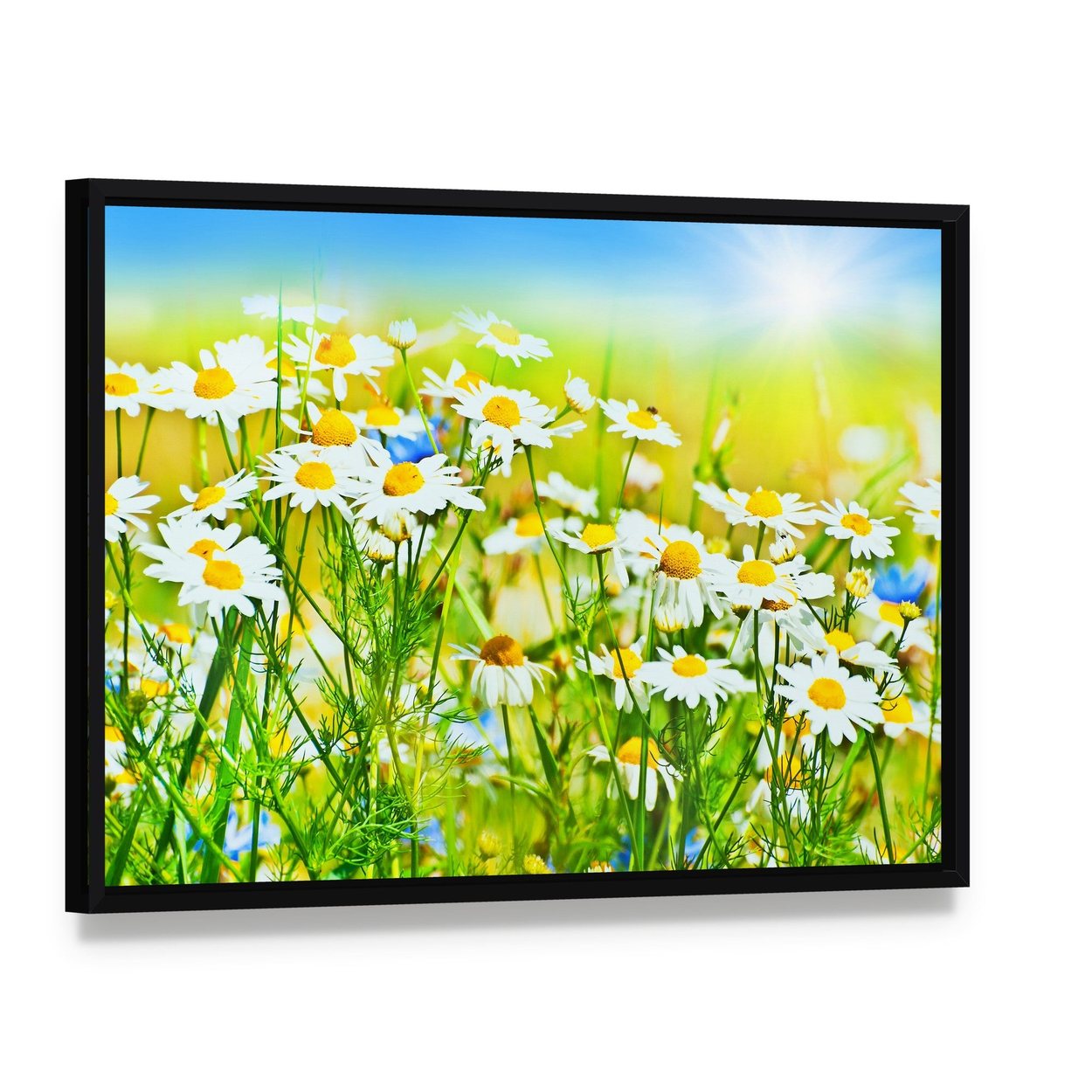 Sunny Daisy Field Canvas Wall Art, framed canvas in a black floater frame, angled product view