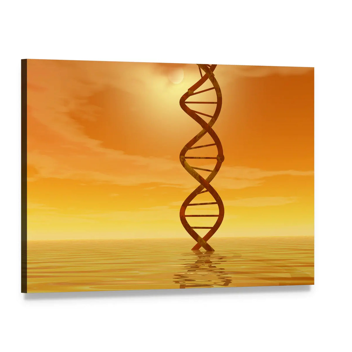 Golden Dna Helix Rising from Water Canvas Wall Art, single panel gallery wrapped canvas, angled product view