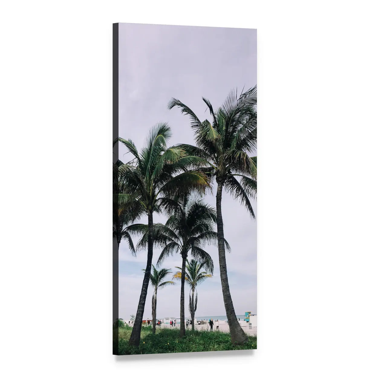 Palm Trees on Tropical Beach Vertical Canvas Wall Art, 1 panel 1 Vertical layout gallery wrapped canvas set, angled product view