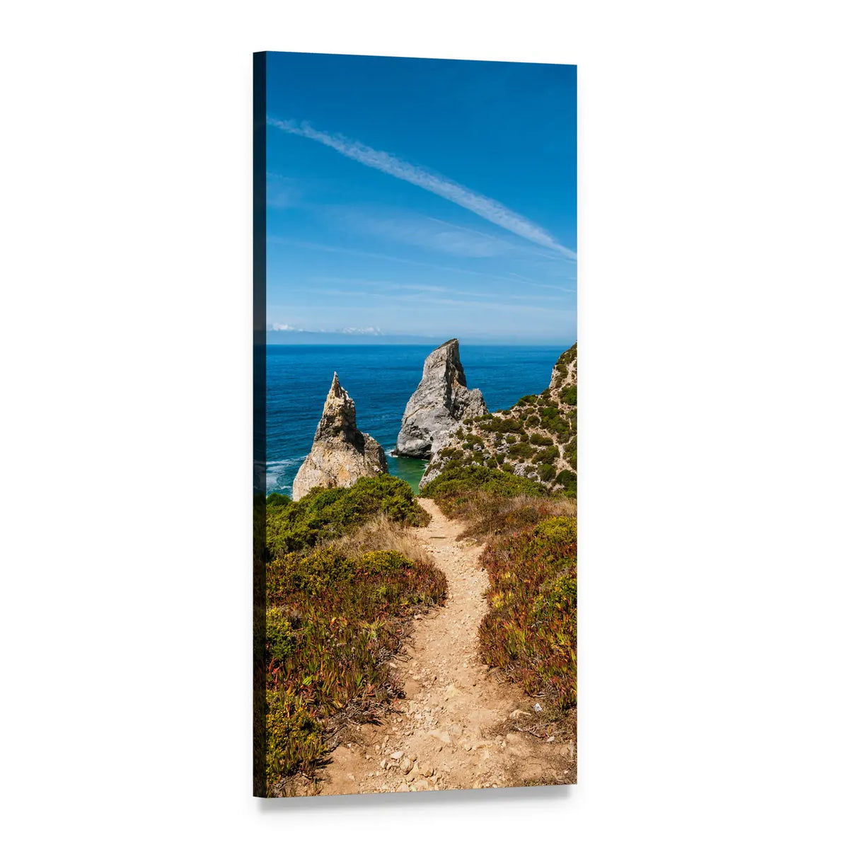 Coastal Cliffs with Winding Trail Vertical Canvas Wall Art, 1 panel 1 Vertical layout gallery wrapped canvas set, angled product view