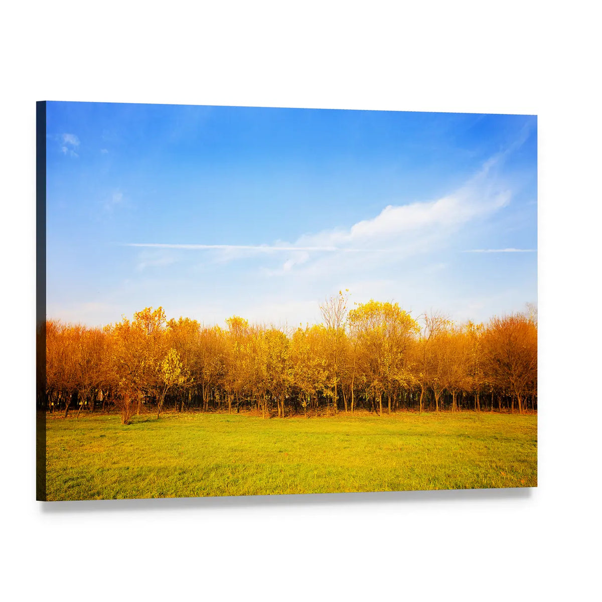 Autumn Meadow with Golden Leaves Canvas Wall Art, single panel gallery wrapped canvas, angled product view
