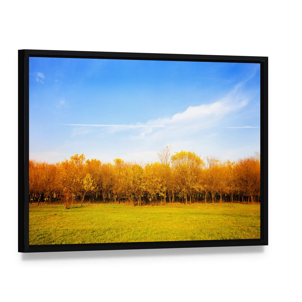 Autumn Meadow with Golden Leaves Canvas Wall Art, framed canvas in a black floater frame, angled product view