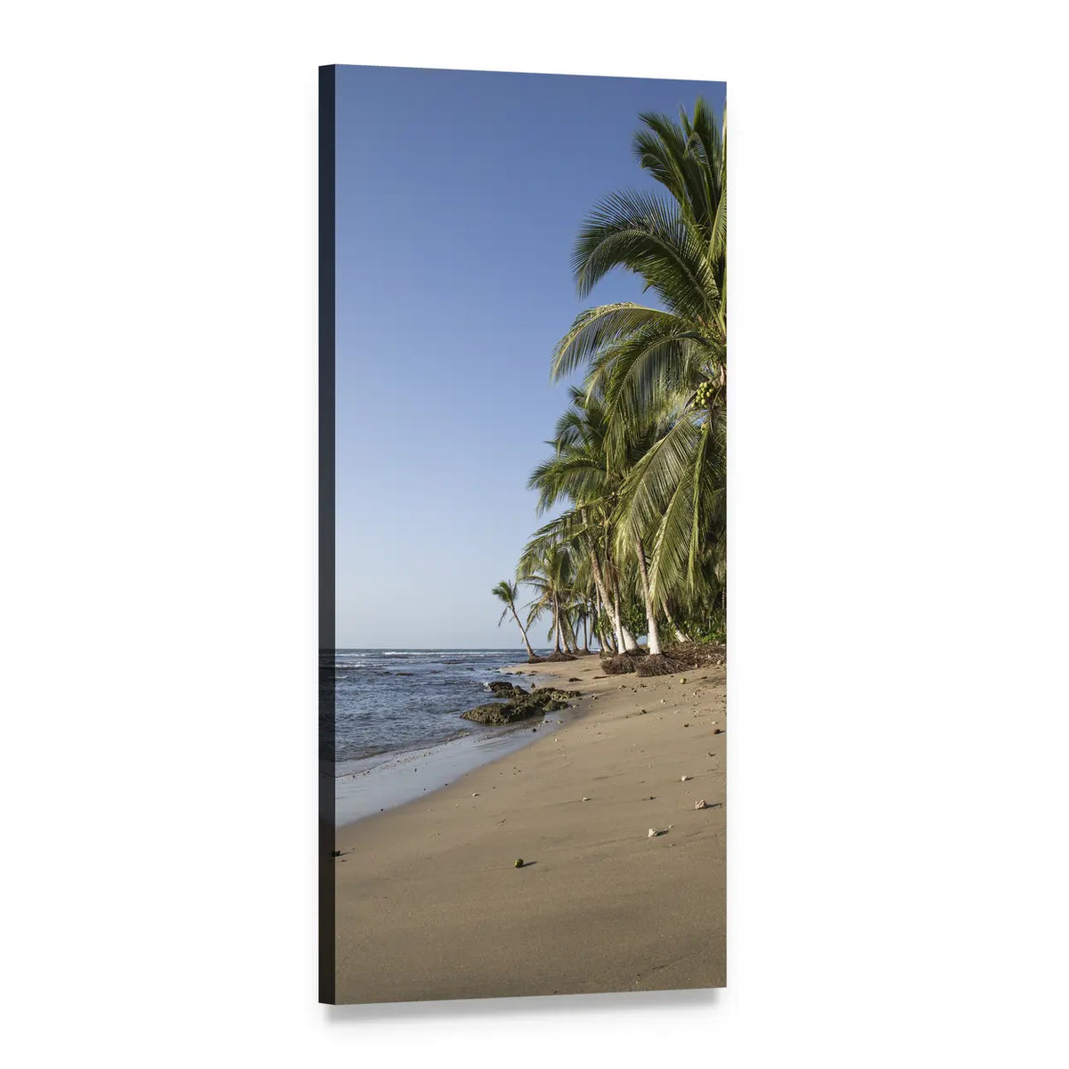 Tropical Beach with Palm Trees and Waves Vertical Canvas Wall Art, 1 panel 1 Vertical layout gallery wrapped canvas set, angled product view