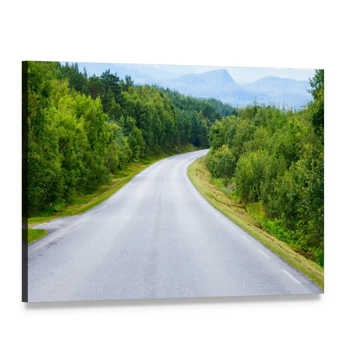 Winding Road Through Lush Green Forest Canvas Wall Art, single panel gallery wrapped canvas, angled product view